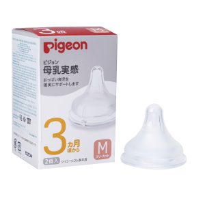 Núm Ty Pigeon